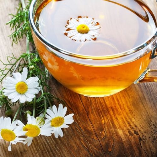 Câu chuyện làm đẹp từ hoa cúc